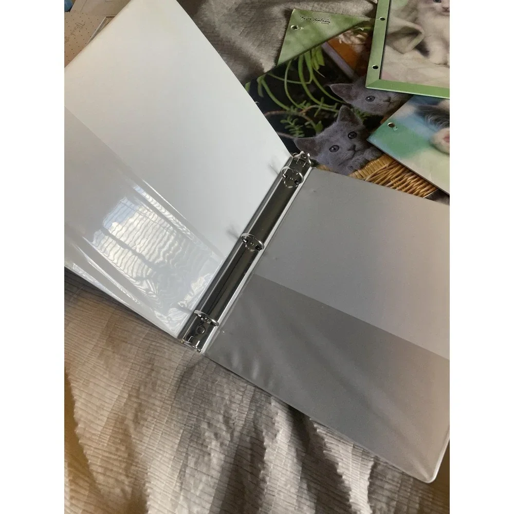 Vintage Y2K Class Act Keith Kimberlin School Binder & 6 Kitten Folders Retro